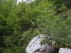 DSCN4030.JPG