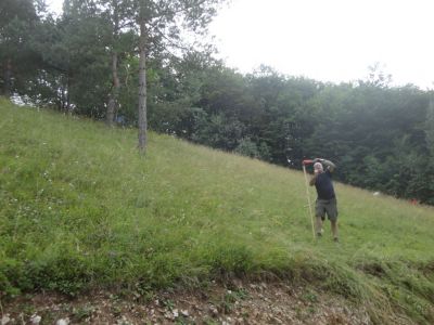 Kliknite za ogled večje slike