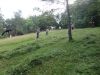 DSC03602.JPG