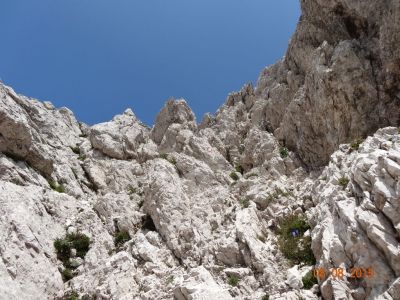 Kliknite za ogled večje slike