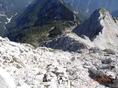 Kliknite za ogled večje slike