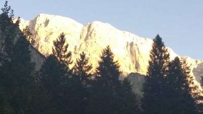 Kliknite za ogled večje slike