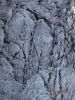 DSC03206.JPG