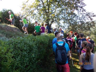 Kliknite za ogled večje slike