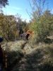 DSCN4318.jpg