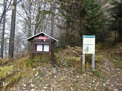 Kliknite za ogled večje slike