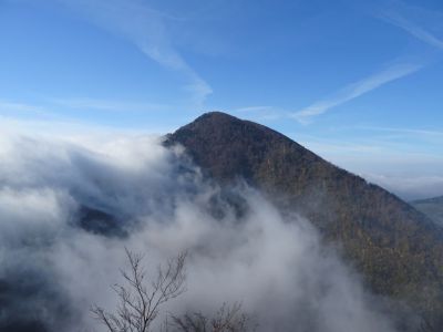 Kliknite za ogled večje slike