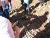 IMG_6611.JPG