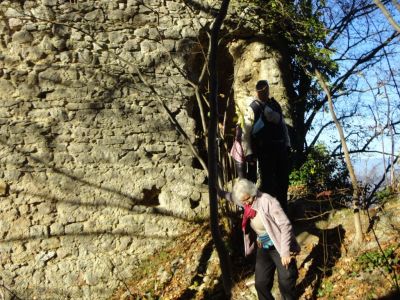 Kliknite za ogled večje slike