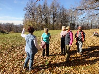 Kliknite za ogled večje slike