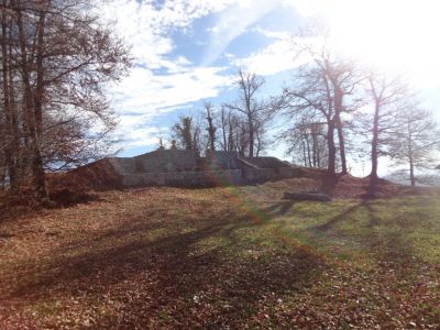 Kliknite za ogled večje slike
