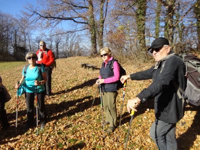 Kliknite za ogled večje slike