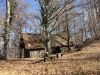 DSC04073.JPG