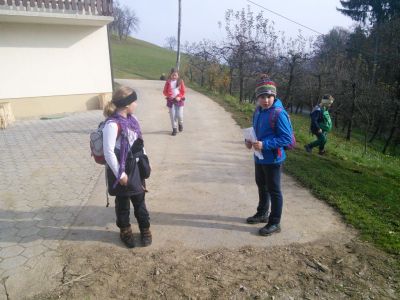 Kliknite za ogled večje slike