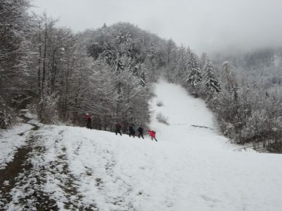 Kliknite za ogled večje slike