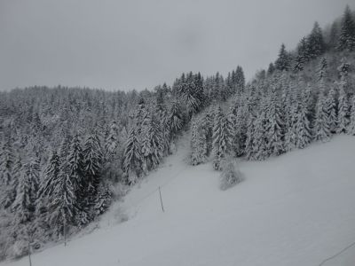 Kliknite za ogled večje slike
