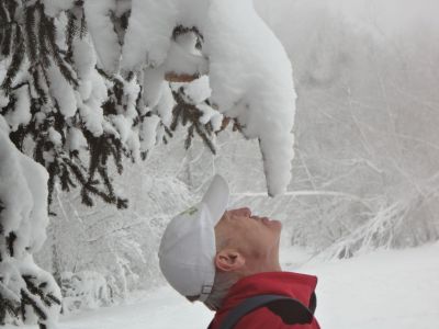 Kliknite za ogled večje slike