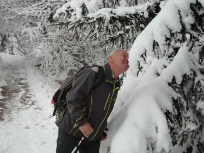 Kliknite za ogled večje slike