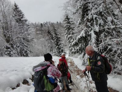 Kliknite za ogled večje slike
