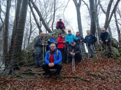 Kliknite za ogled večje slike