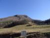 DSC01174.JPG