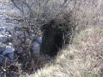 Kliknite za ogled večje slike