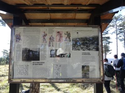 Kliknite za ogled večje slike