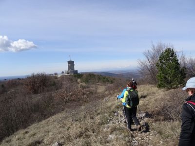 Kliknite za ogled večje slike