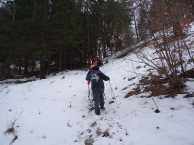 Kliknite za ogled večje slike