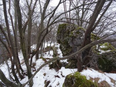 Kliknite za ogled večje slike