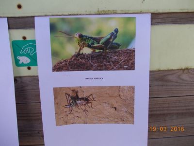 Kliknite za ogled večje slike