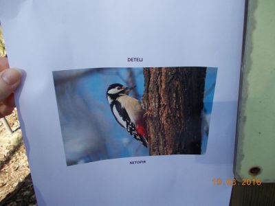 Kliknite za ogled večje slike