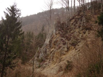 Kliknite za ogled večje slike