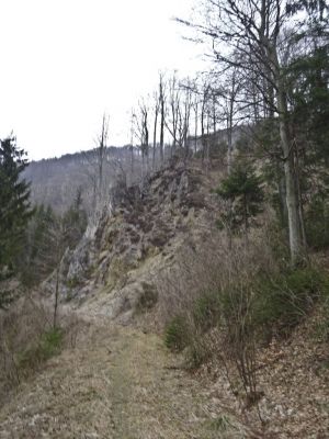 Kliknite za ogled večje slike