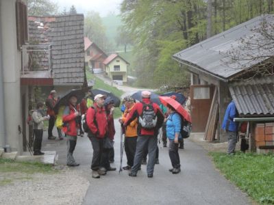 Kliknite za ogled večje slike