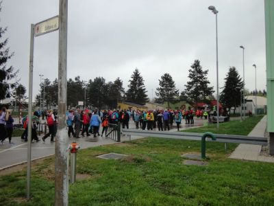 Kliknite za ogled večje slike