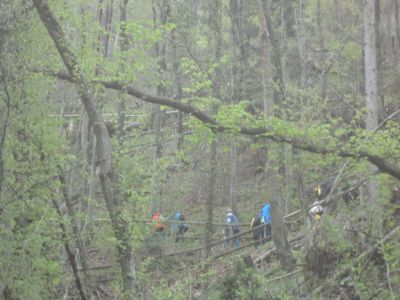 Kliknite za ogled večje slike