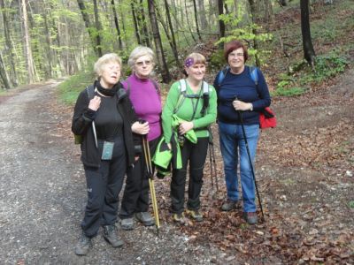 Kliknite za ogled večje slike