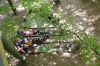 DSC_6751.JPG
