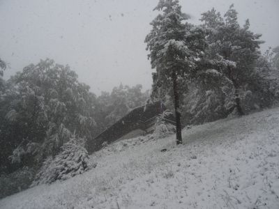 Kliknite za ogled večje slike