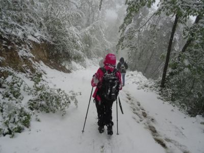 Kliknite za ogled večje slike