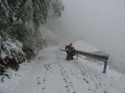 Kliknite za ogled večje slike