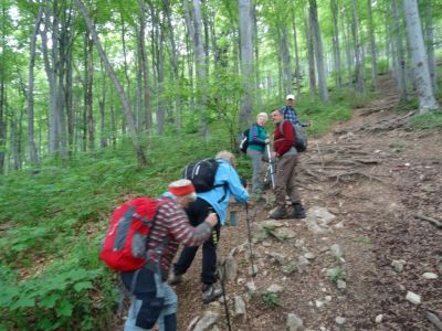 Kliknite za ogled večje slike