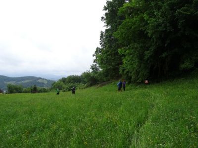 Kliknite za ogled večje slike