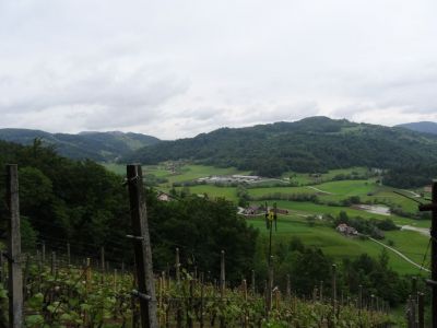 Kliknite za ogled večje slike