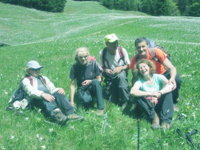 Kliknite za ogled večje slike