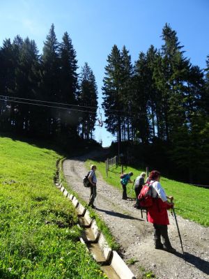 Kliknite za ogled večje slike