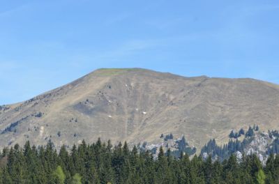 Kliknite za ogled večje slike