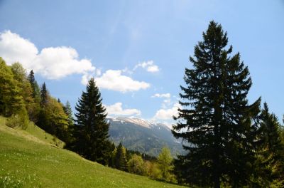 Kliknite za ogled večje slike