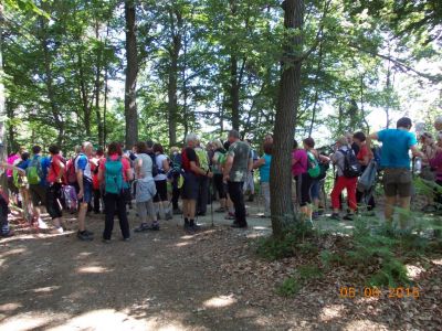 Kliknite za ogled večje slike